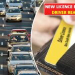 P-Plate Drivers Face Immediate Suspension: Tough New Rule Introduced Nationwide